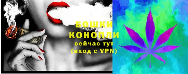 молекула духа Белоозёрский