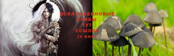 молекула духа Белоозёрский