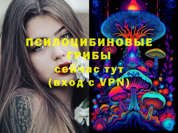 бошки Беломорск