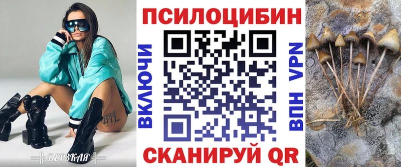 Псилоцибиновые грибы прущие грибы  Купить где  Егорьевск 